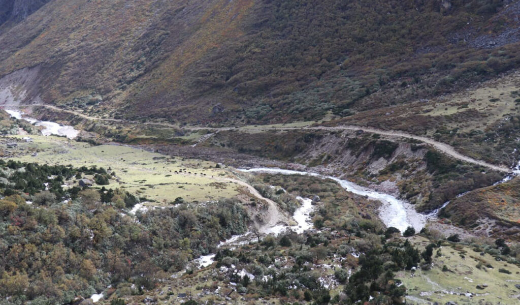 Taplejung-upper-8-1024x600 Let’s Travel: Upper Taplejung (With Photos)